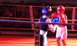 Gala De Boxe   010